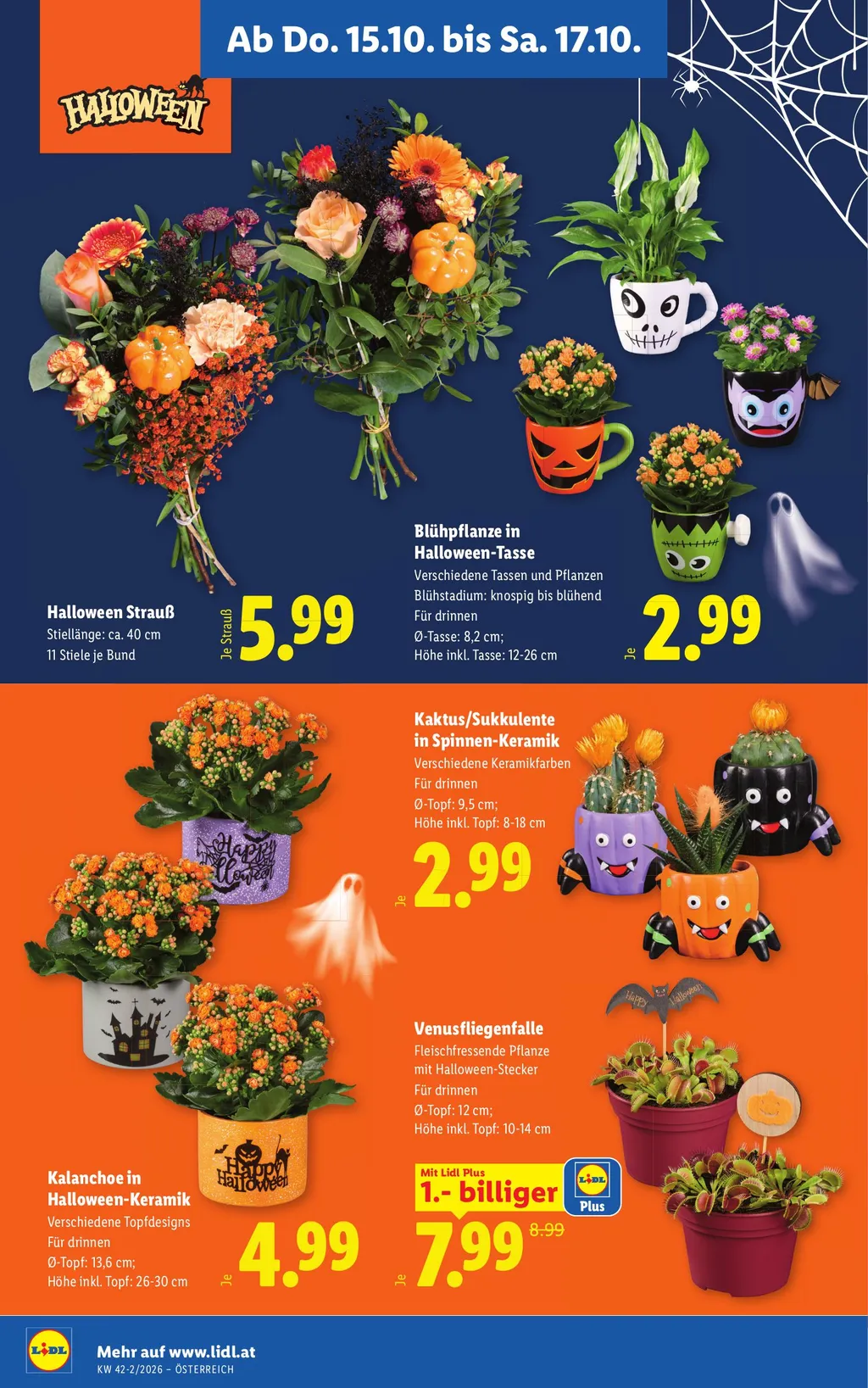 Lidl Flugblatt ab 15.10.2026 (Donnerstag)