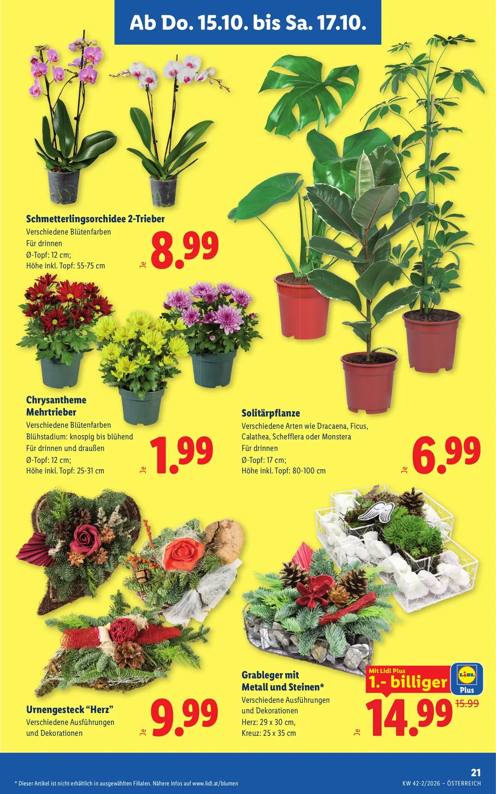 Lidl Flugblatt ab 15.10.2026 (Donnerstag)