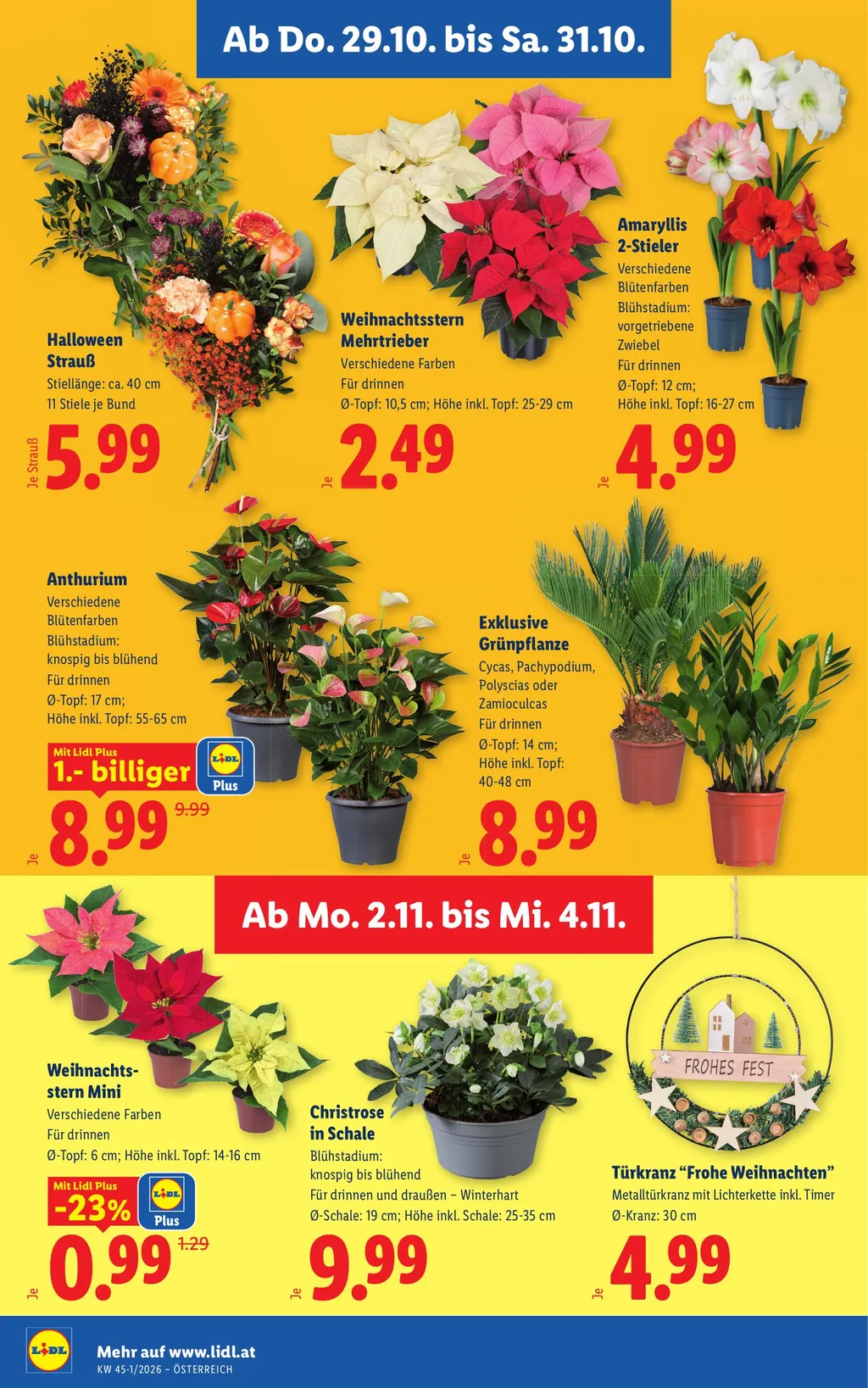 Lidl Flugblatt ab 29.10.2026 (Donnerstag)