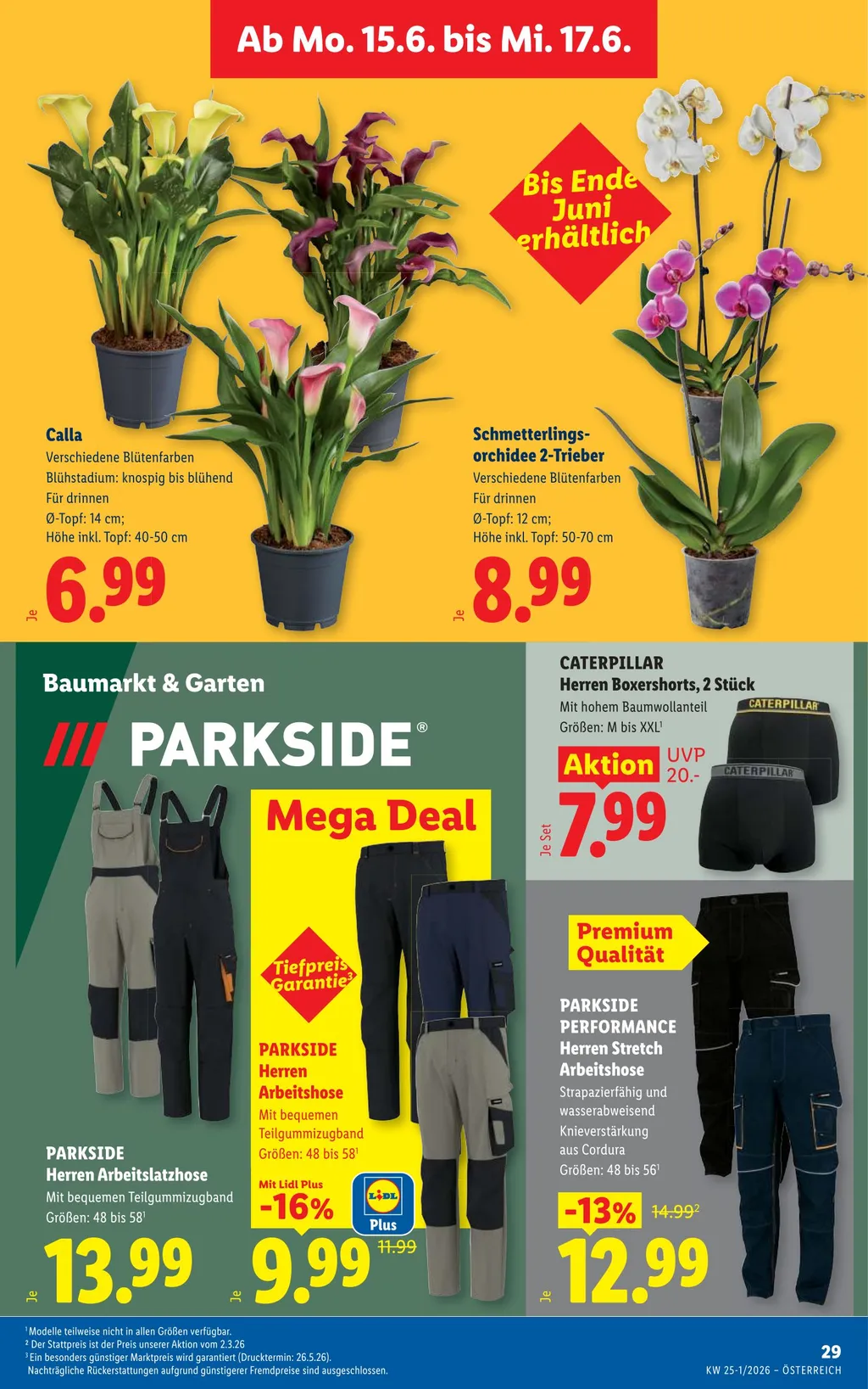 Lidl Flugblatt ab 11.06.2026 (Donnerstag)