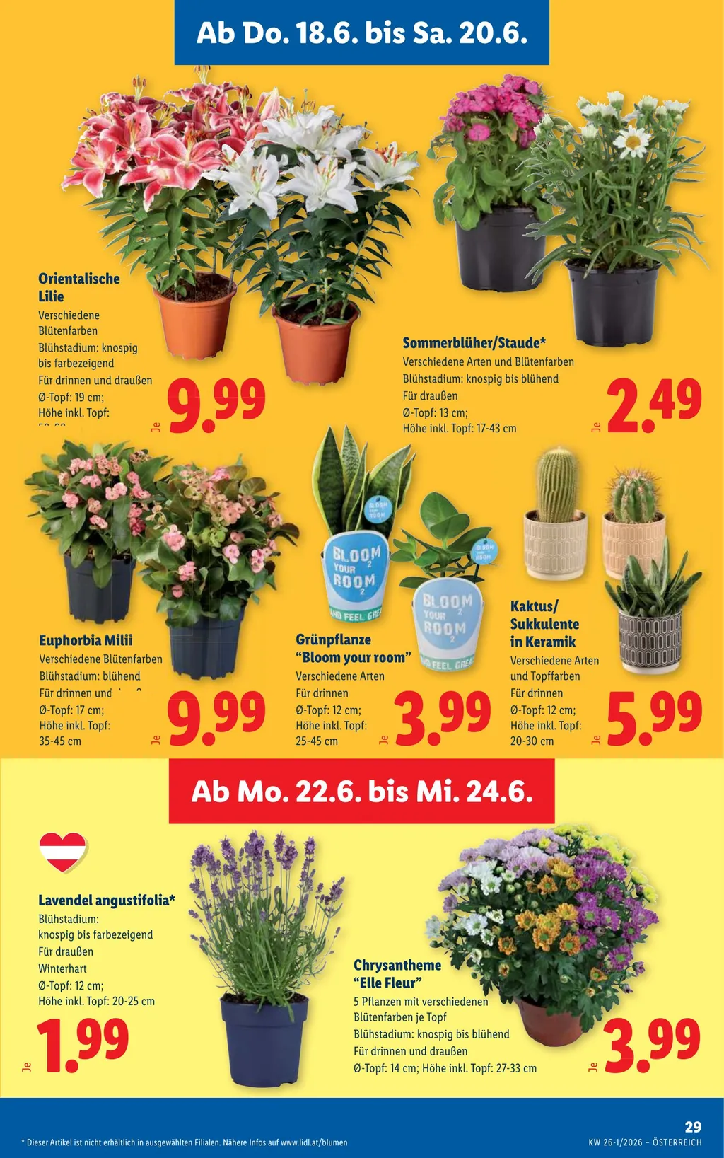 Lidl Flugblatt ab 18.06.2026 (Donnerstag)