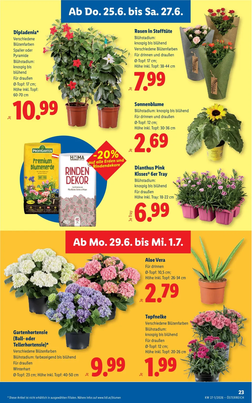 Lidl Flugblatt ab 25.06.2026 (Donnerstag)