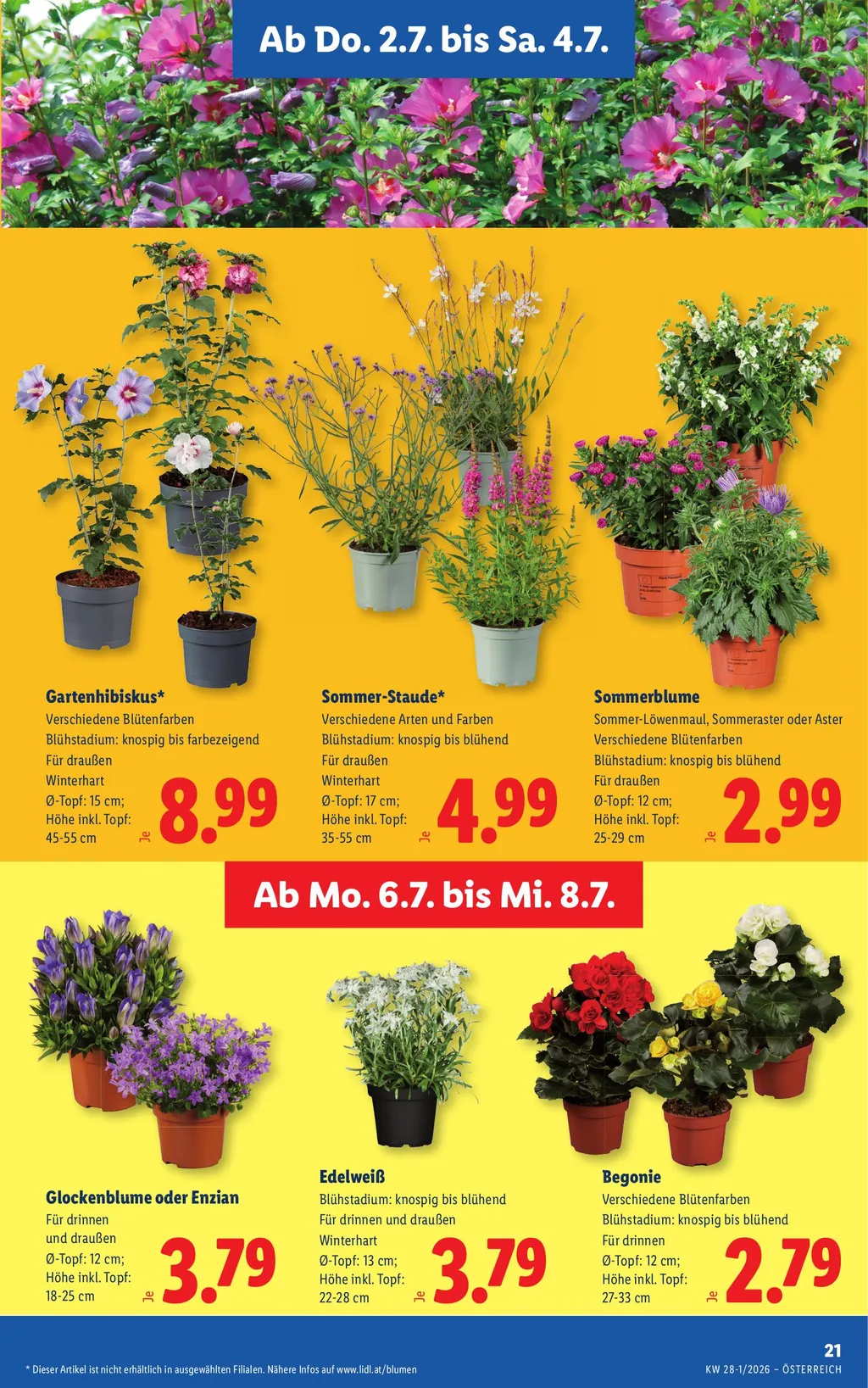 Lidl Flugblatt ab 02.07.2026 (Donnerstag)