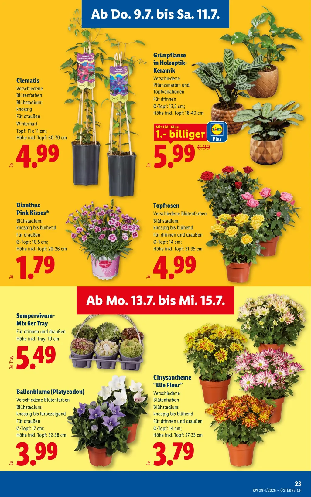Lidl Flugblatt ab 09.07.2026 (Donnerstag)
