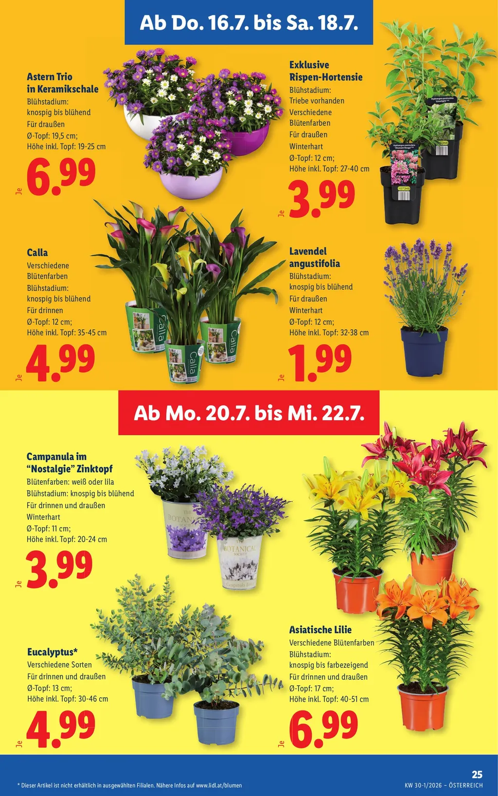 Lidl Flugblatt ab 16.07.2026 (Donnerstag)