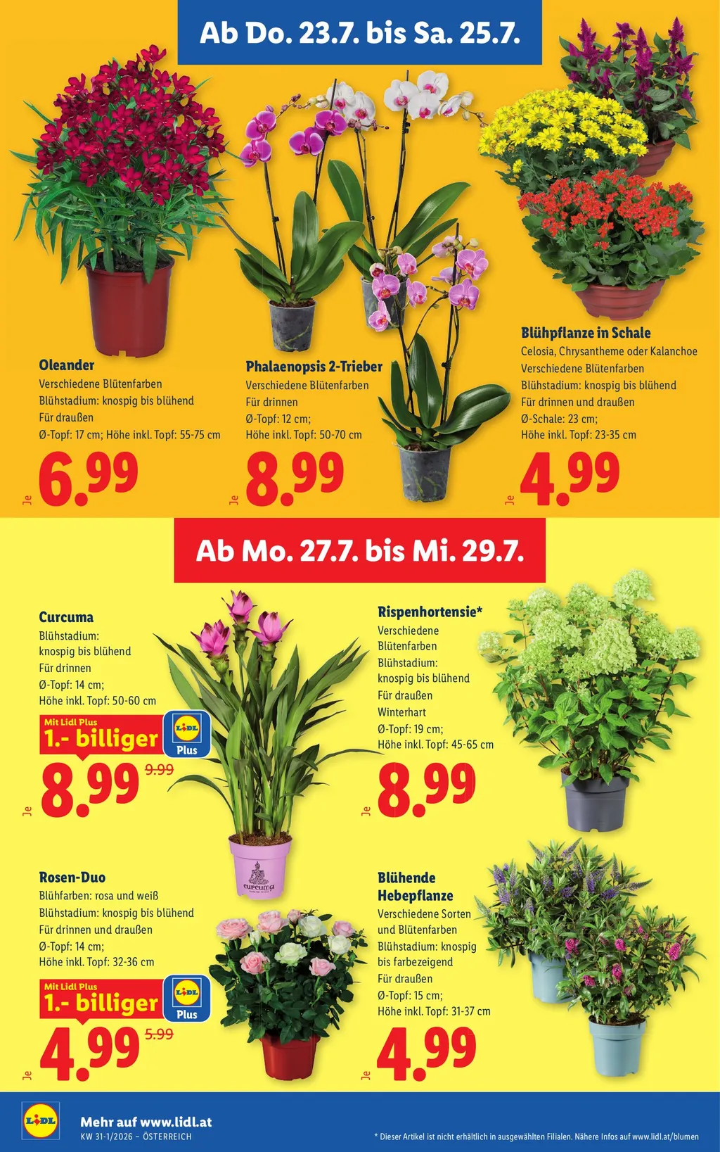 Lidl Flugblatt ab 23.07.2026 (Donnerstag)