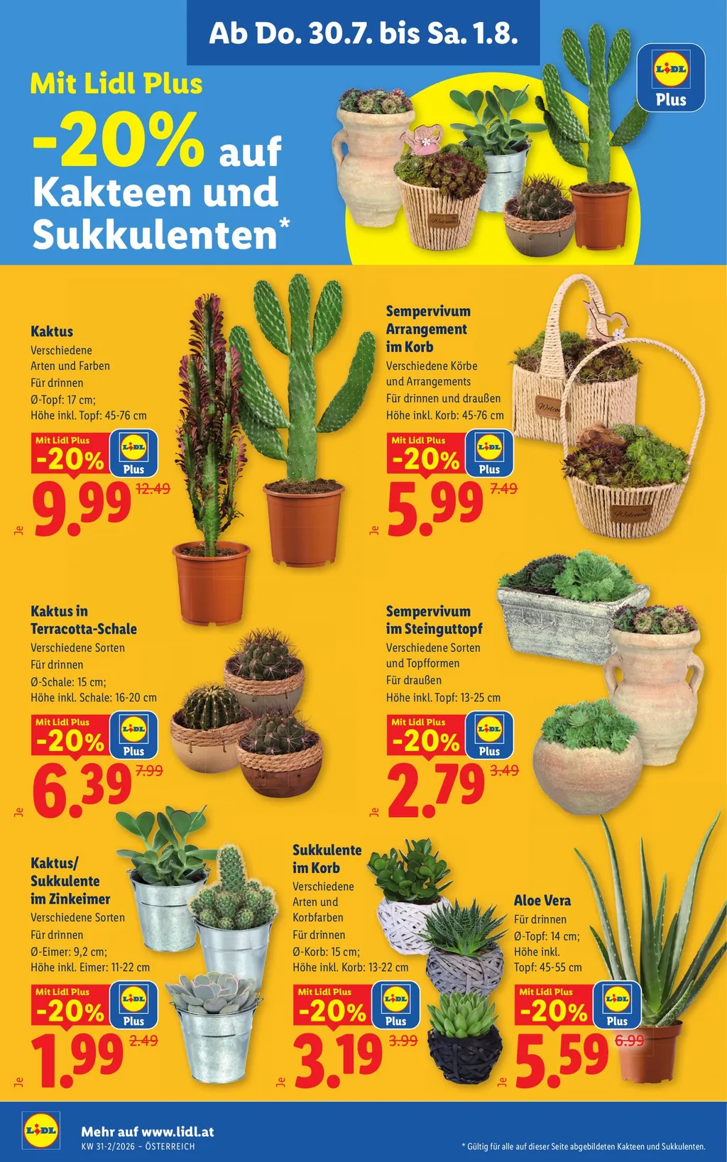 Lidl Flugblatt ab 30.07.2026 (Donnerstag)
