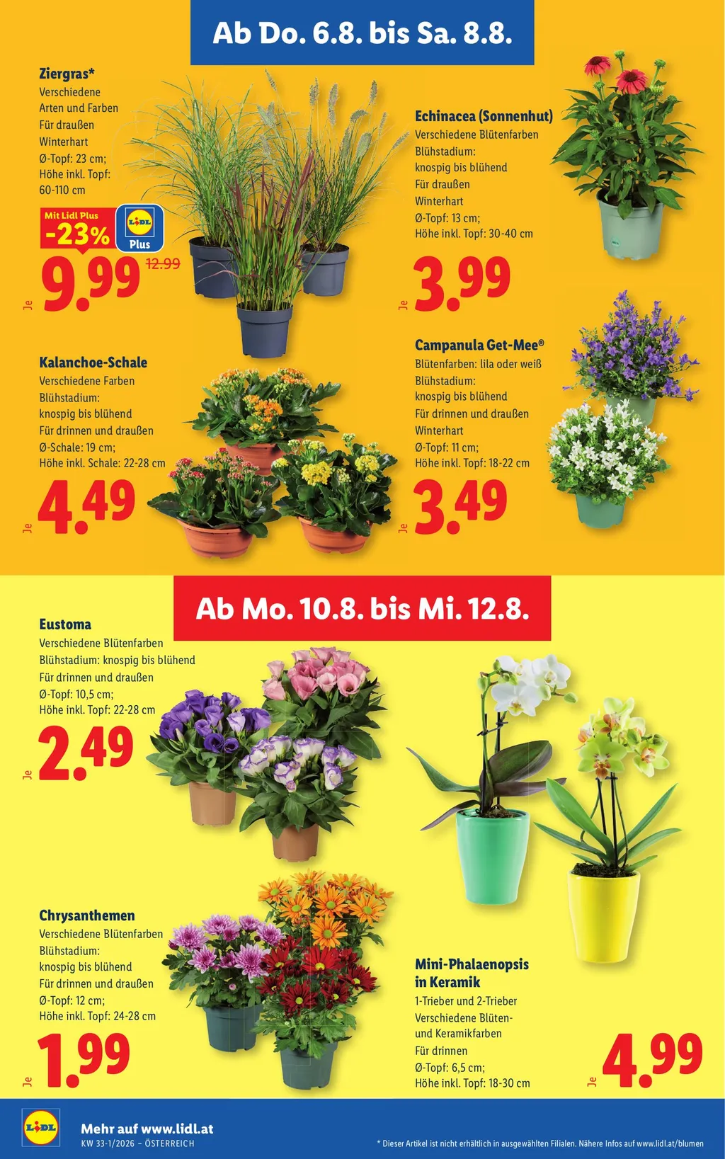 Lidl Flugblatt ab 06.08.2026 (Donnerstag)