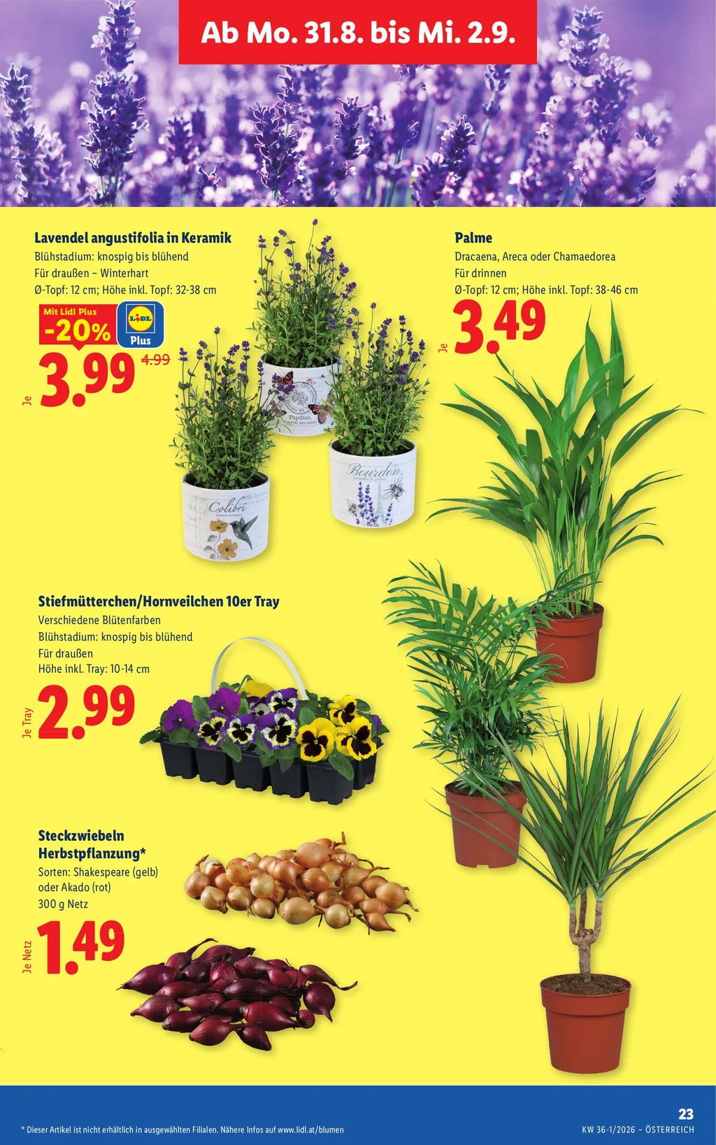 Lidl Flugblatt ab 27.08.2026 (Donnerstag)