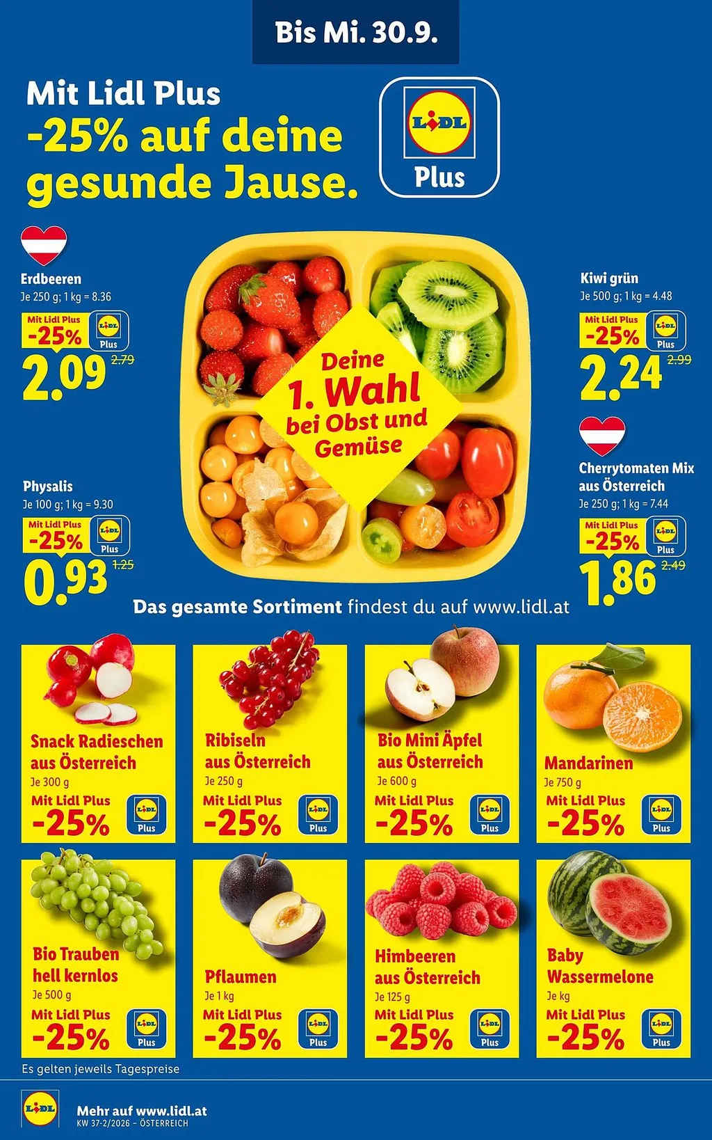 Lidl Flugblatt ab 10.09.2026 (Donnerstag)