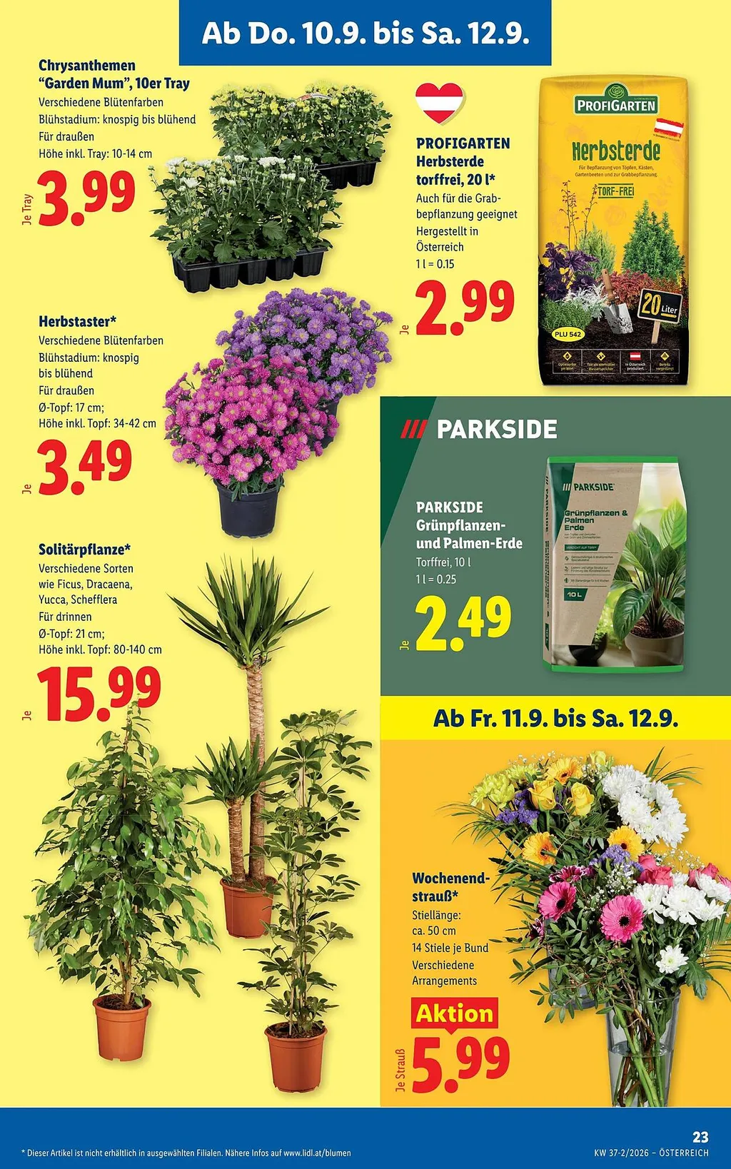Lidl Flugblatt ab 10.09.2026 (Donnerstag)