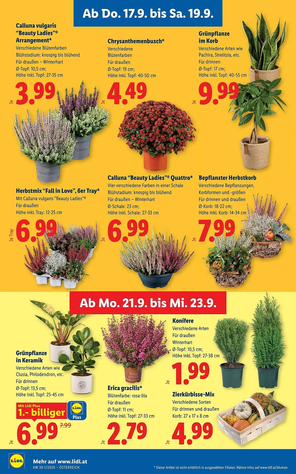 Lidl Flugblatt ab 17.09.2026 (Donnerstag)