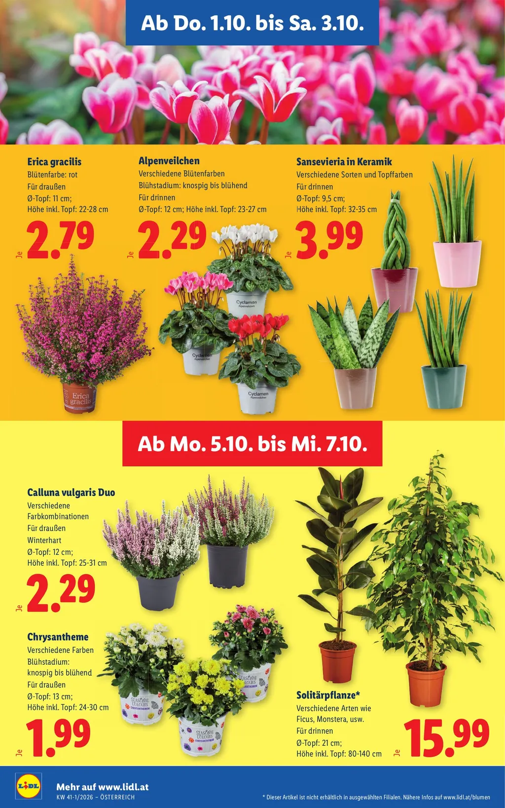 Lidl Flugblatt ab 01.10.2026 (Donnerstag)