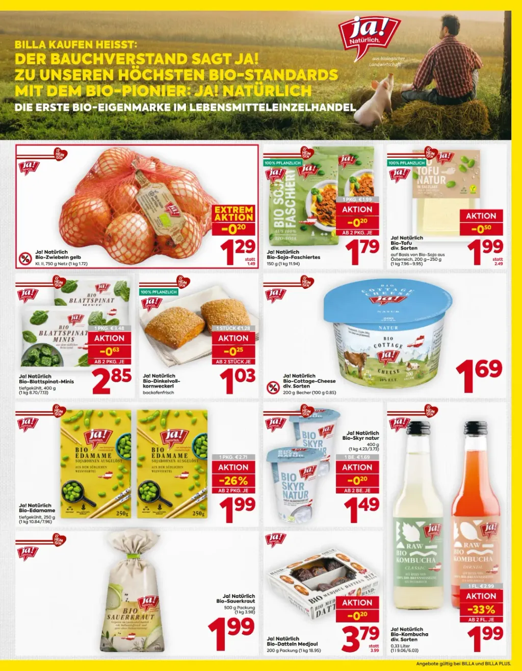 Billa Flugblatt ab 08.10.2026 (Donnerstag)
