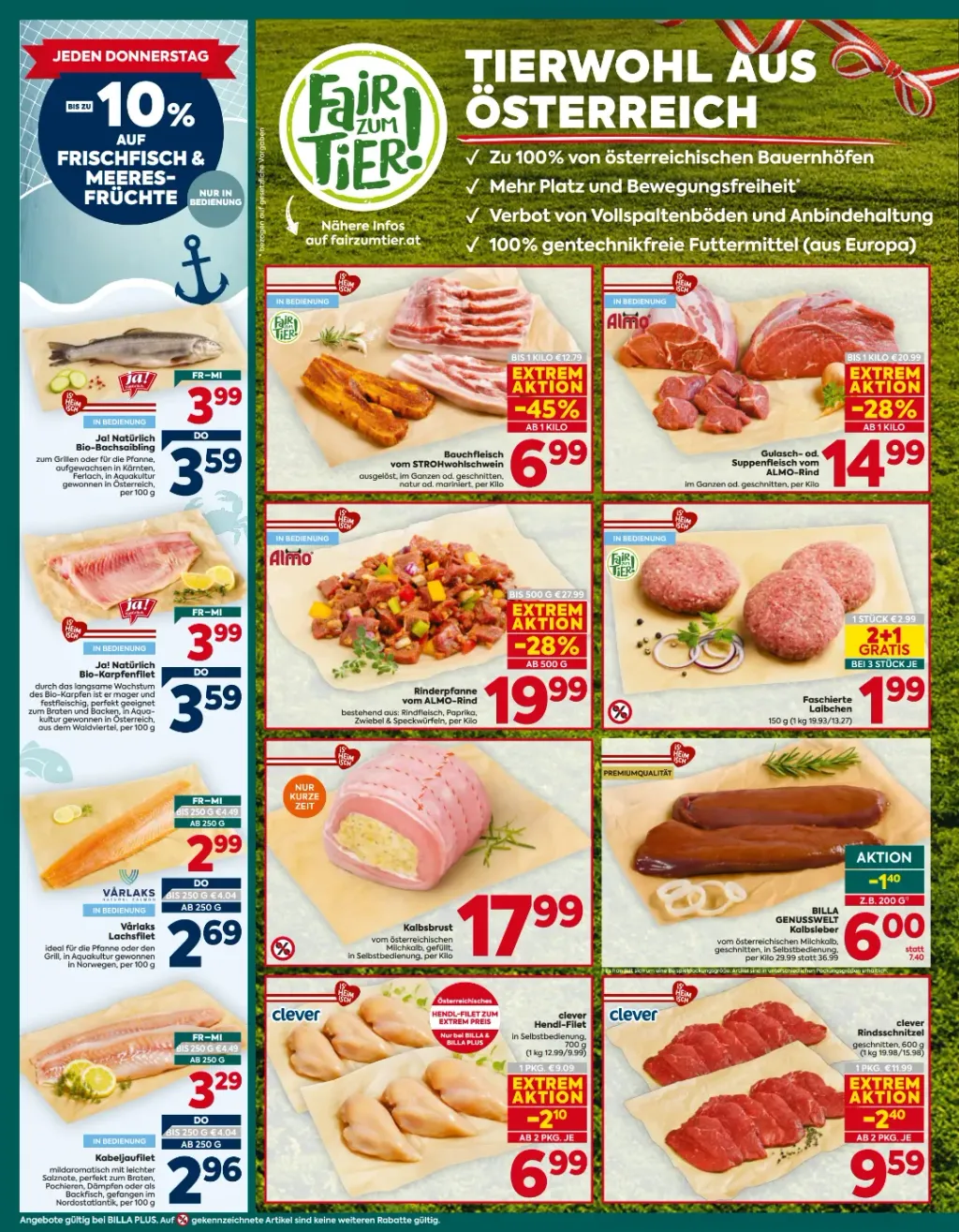 Billa Plus Flugblatt ab 08.10.2026 (Donnerstag)