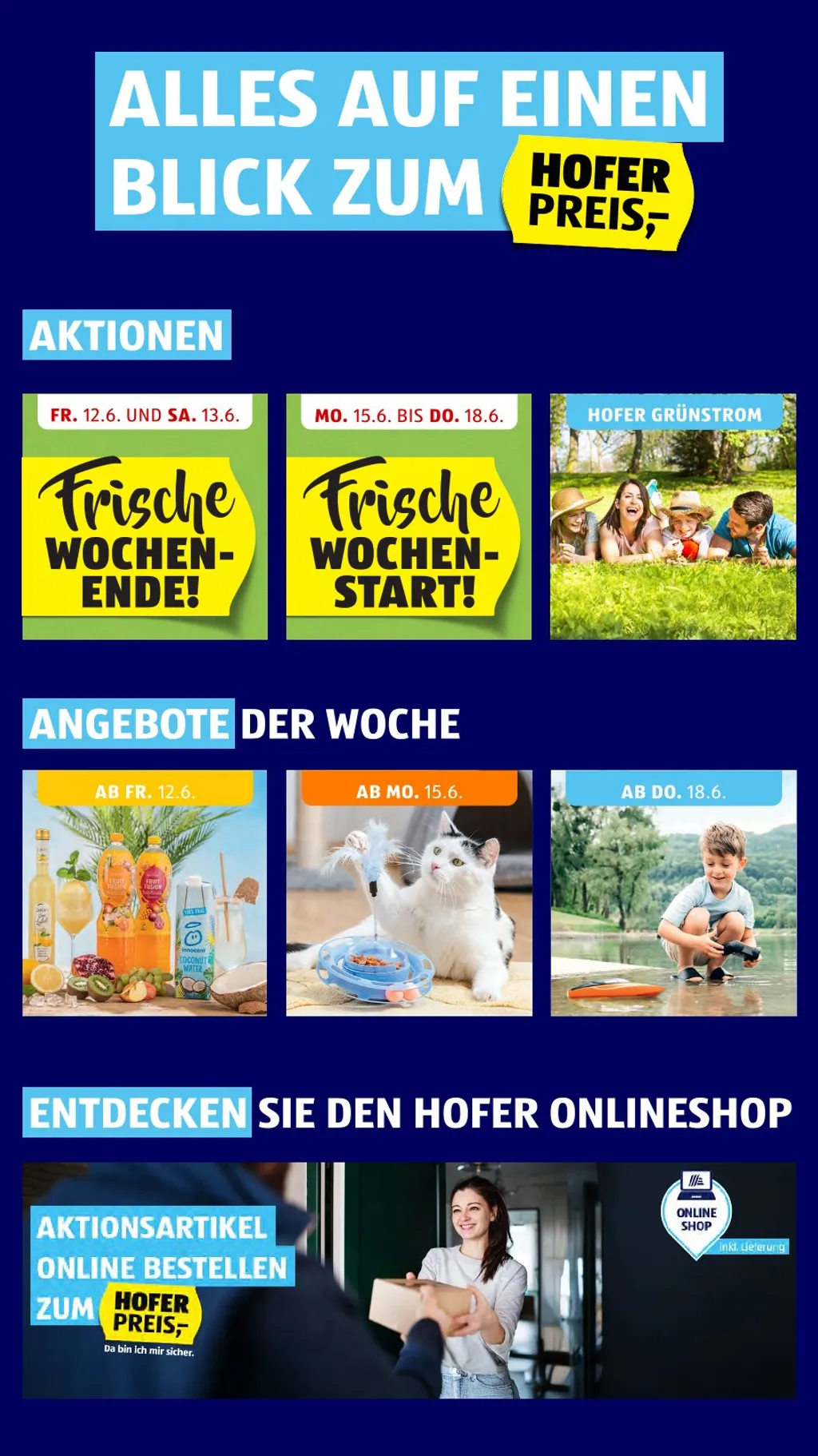 Hofer Flugblatt ab 12.06.2026 (Freitag)