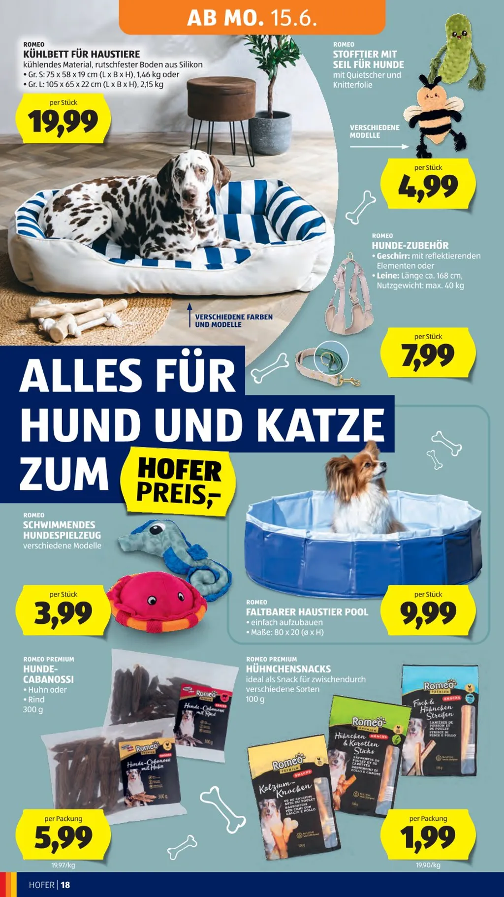 Hofer Flugblatt ab 12.06.2026 (Freitag)