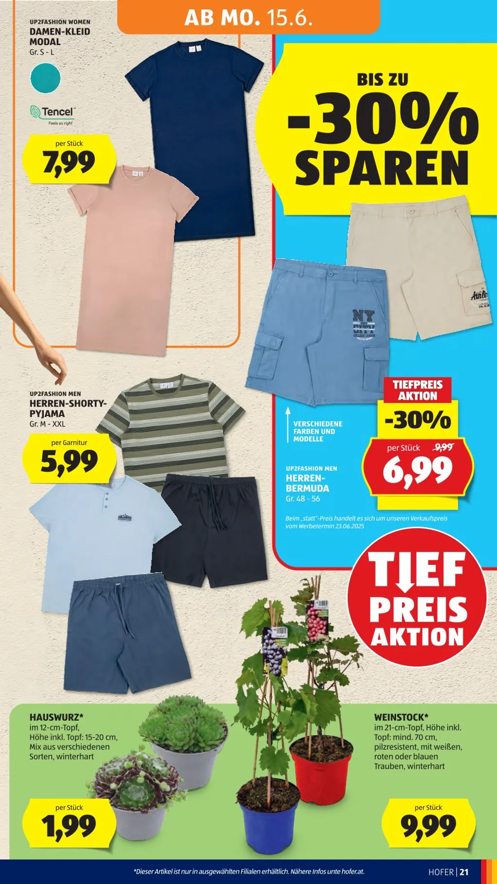 Hofer Flugblatt ab 12.06.2026 (Freitag)