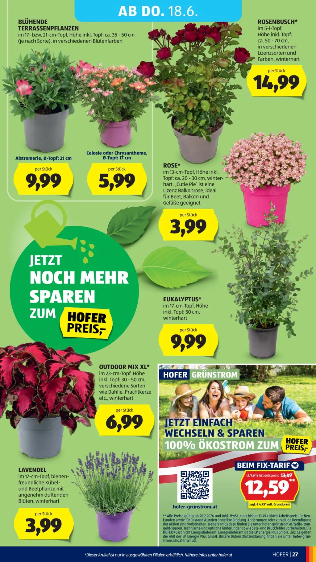 Hofer Flugblatt ab 12.06.2026 (Freitag)