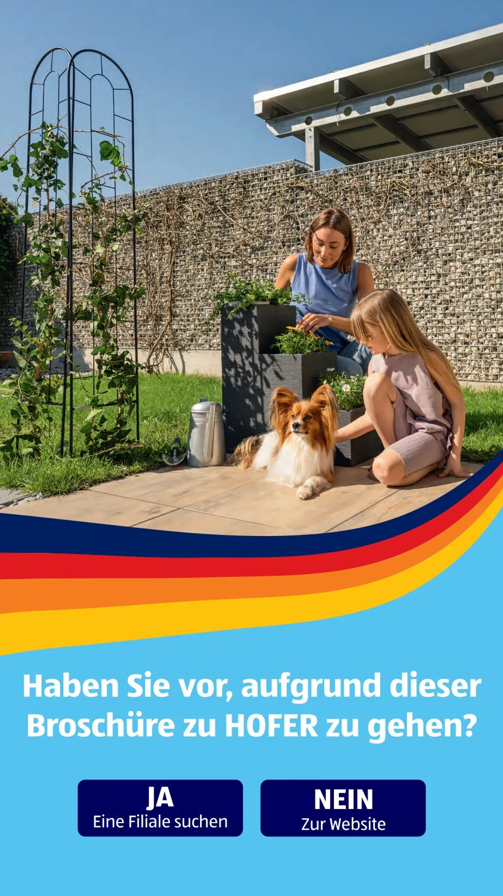 Hofer Flugblatt ab 12.06.2026 (Freitag)