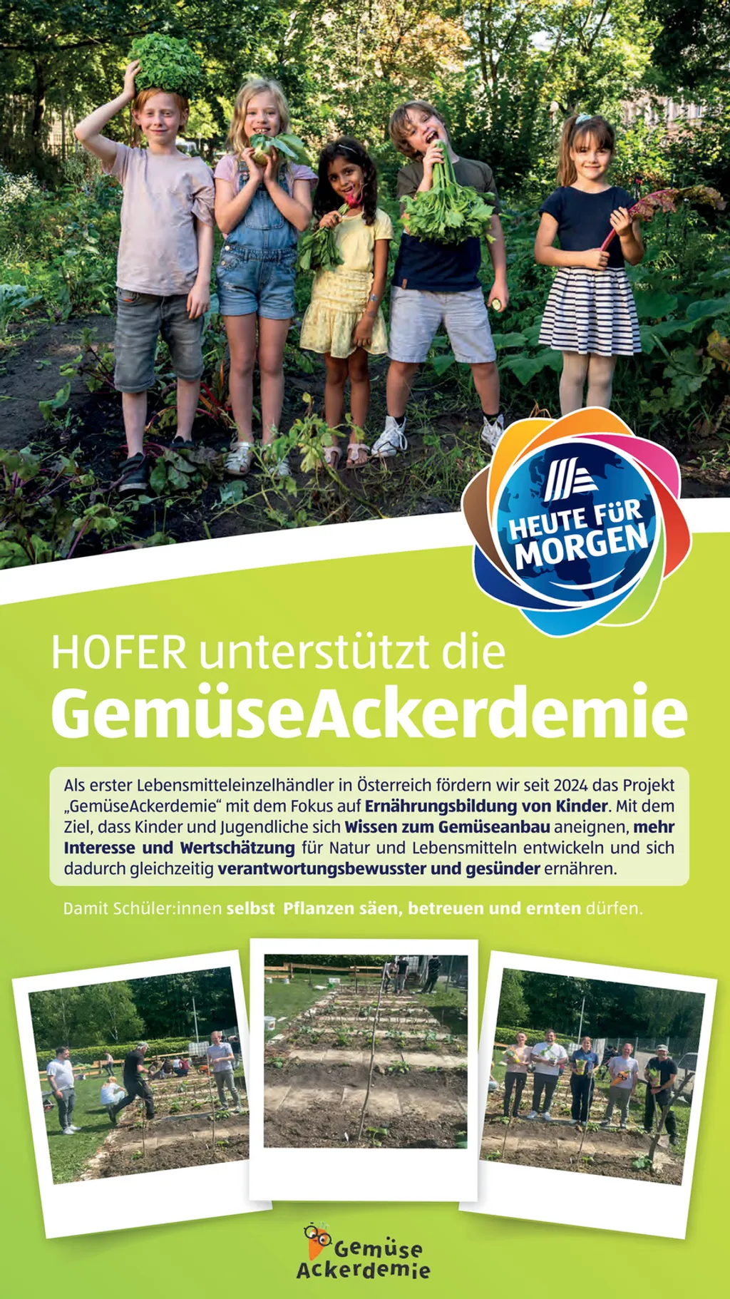 Hofer Flugblatt ab 19.06.2026 (Freitag)
