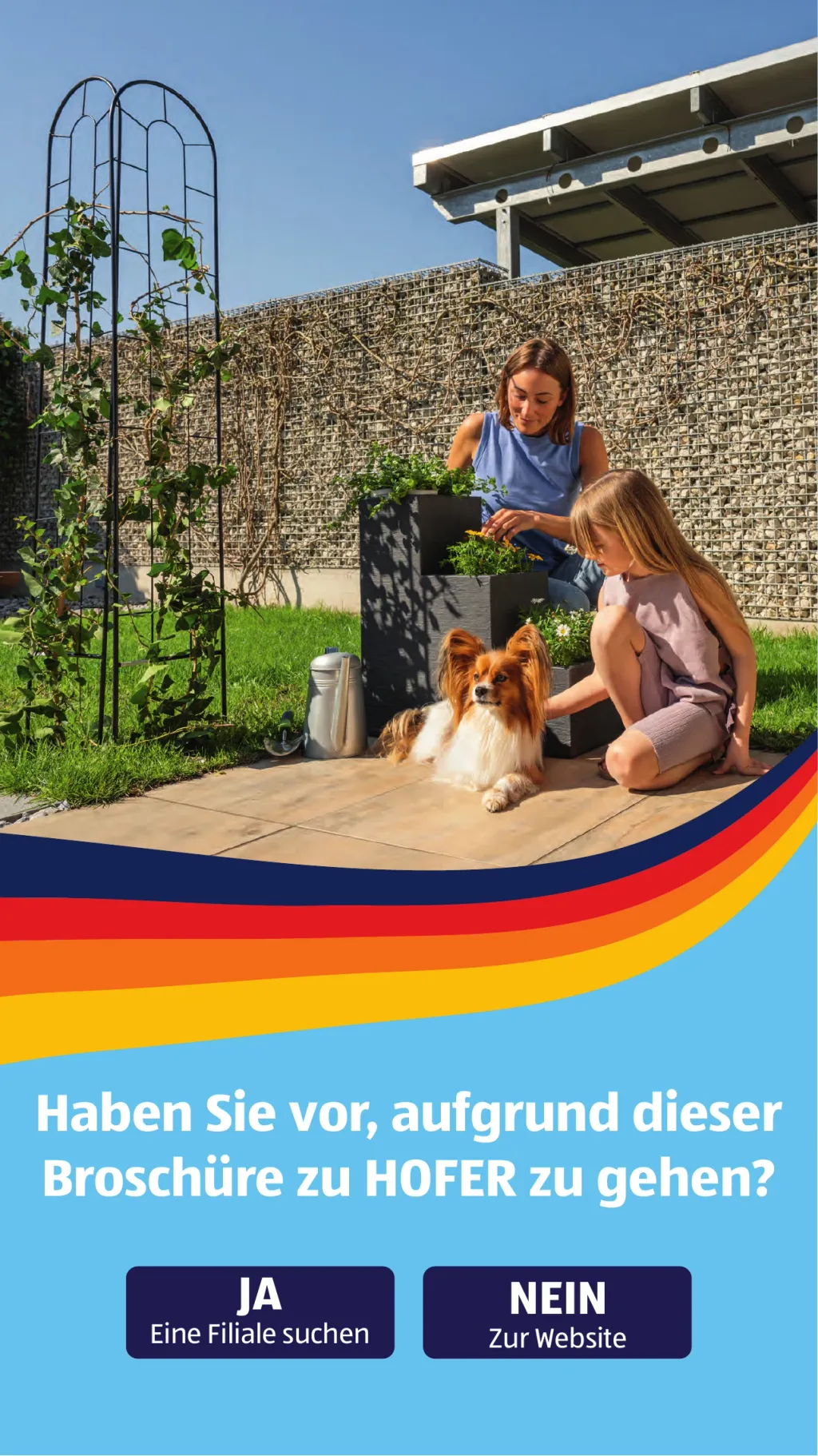 Hofer Flugblatt ab 26.06.2026 (Freitag)