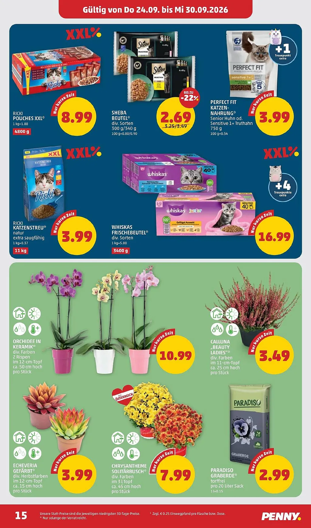 PENNY Flugblatt ab 24.09.2026 (Donnerstag)