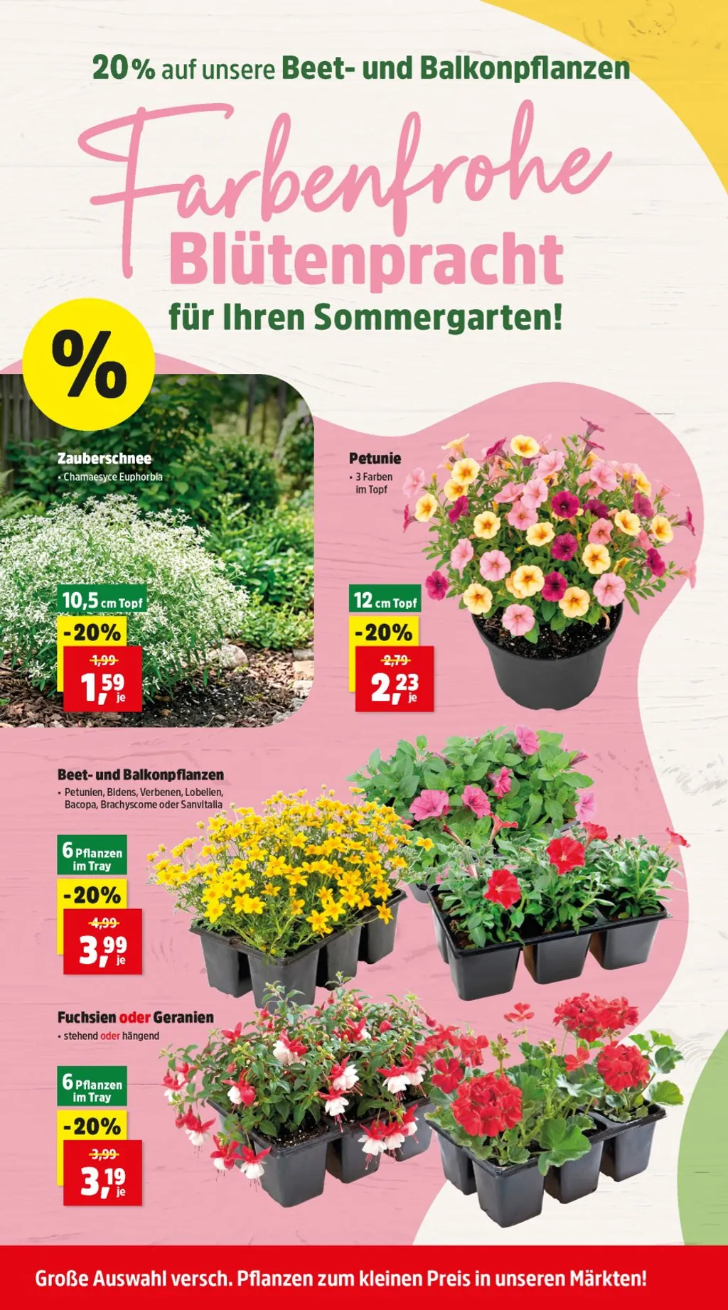 Thomas Philipps Flugblatt ab 08.06.2026 (Montag)