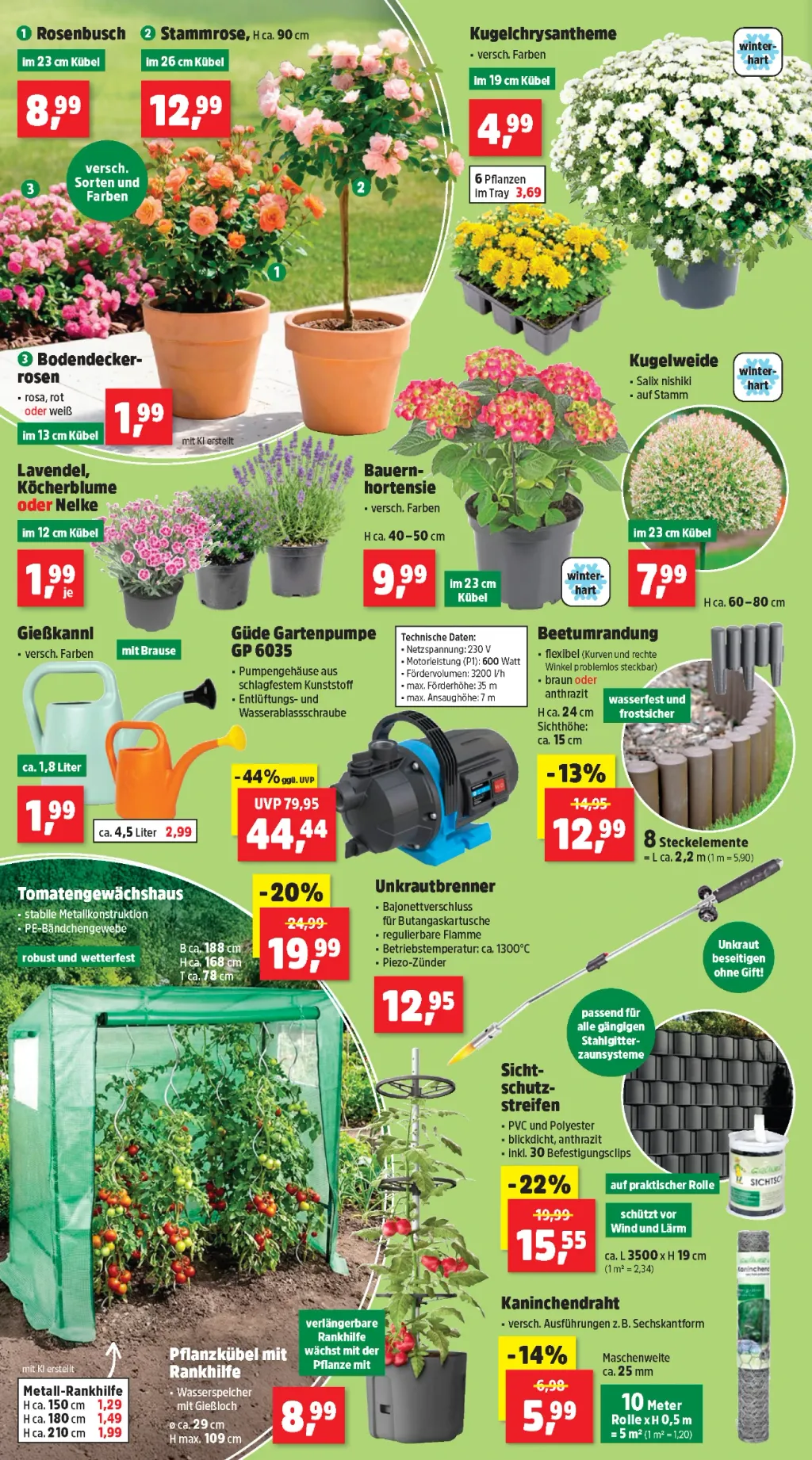 Thomas Philipps Flugblatt ab 29.06.2026 (Montag)