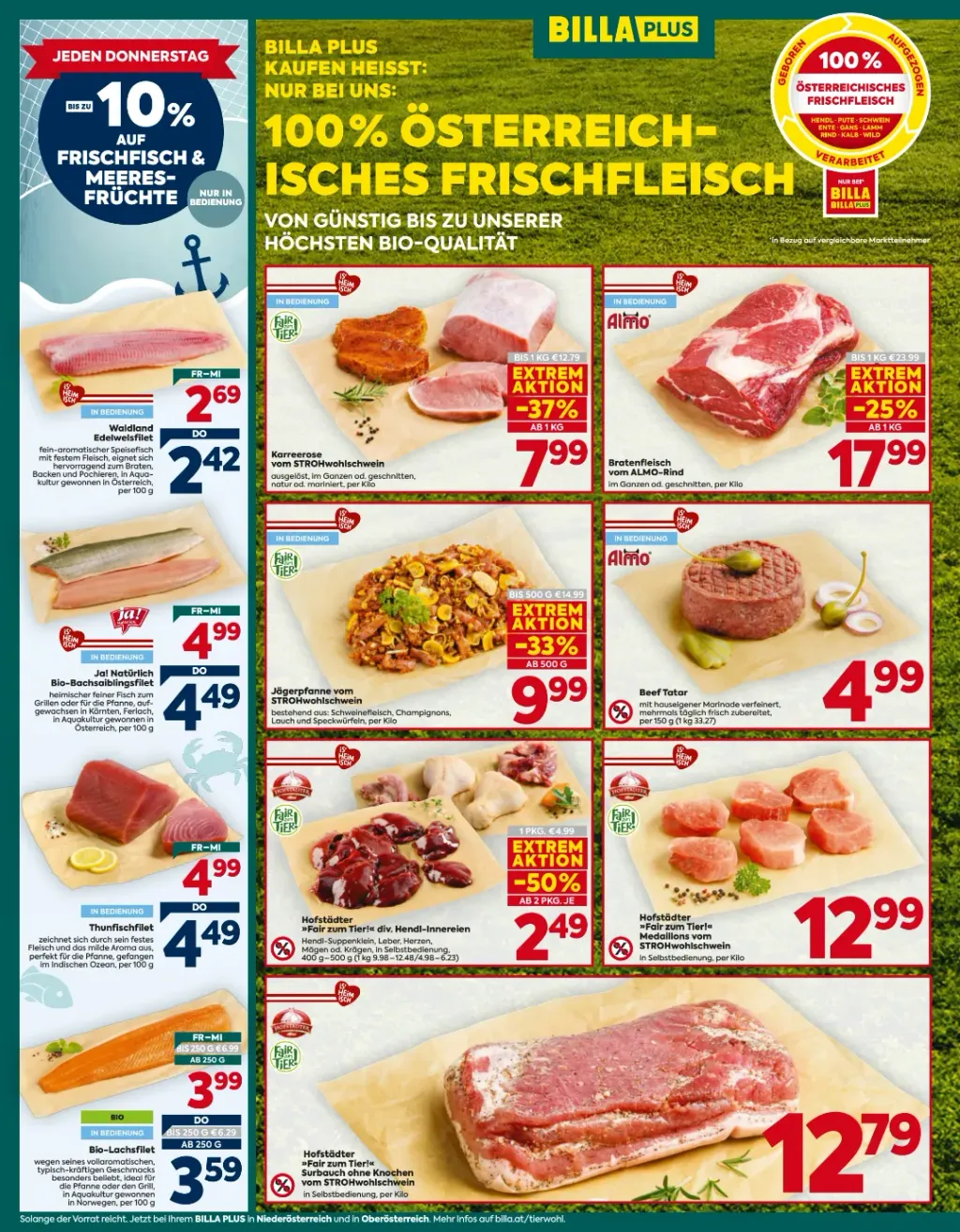 Billa Plus Flugblatt ab 15.10.2026 (Donnerstag)