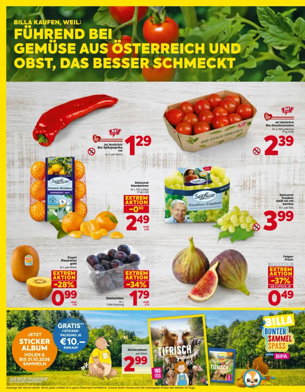 Billa Flugblatt ab 24.09.2026 (Donnerstag)