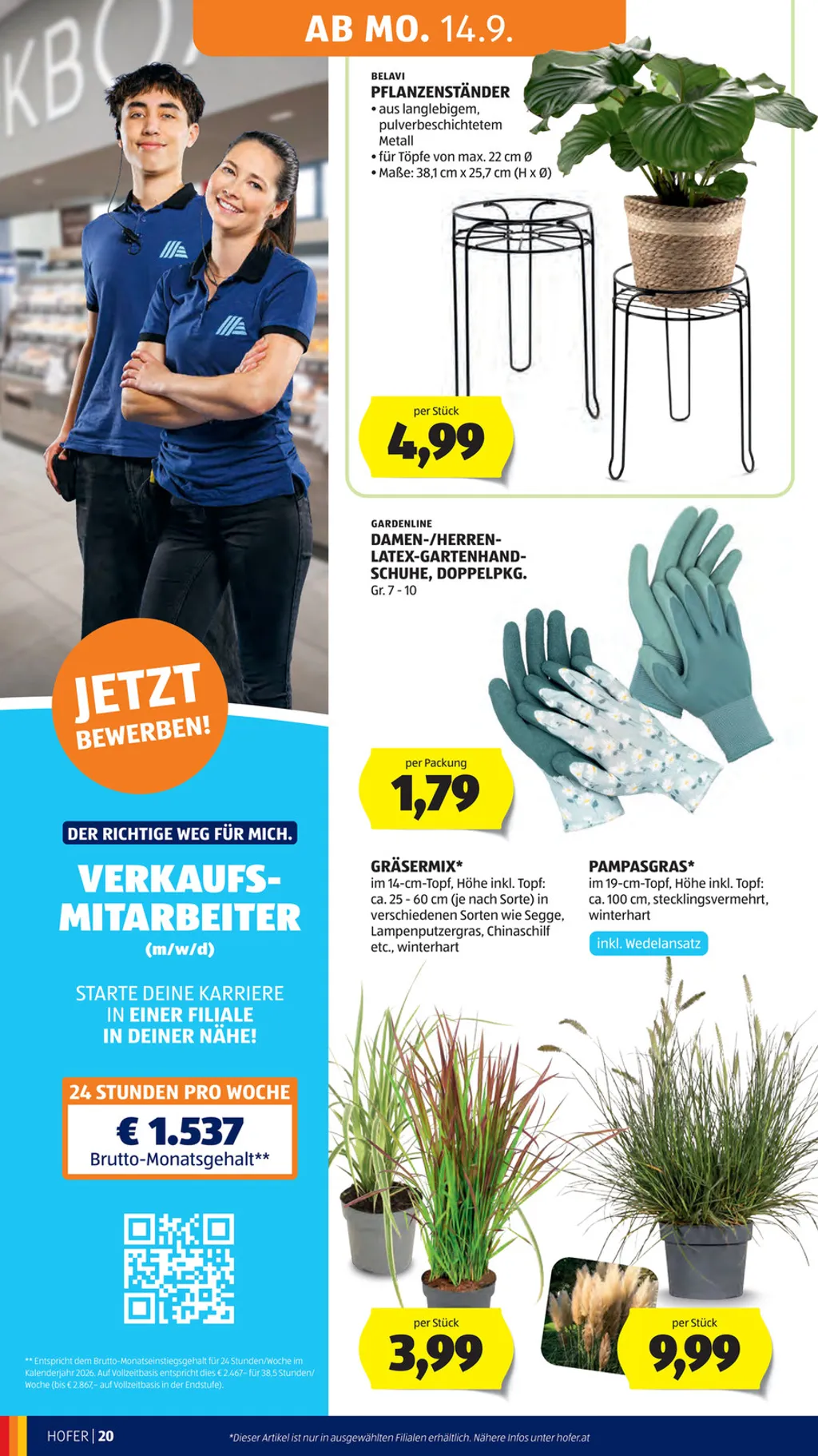 Hofer Flugblatt ab 11.09.2026 (Freitag)